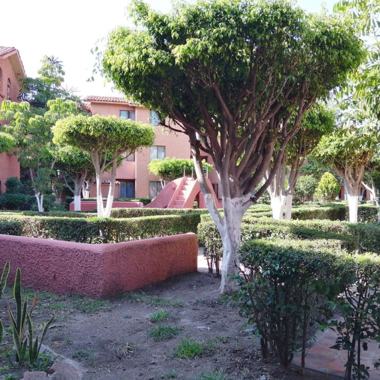 Jardín de los departamentos