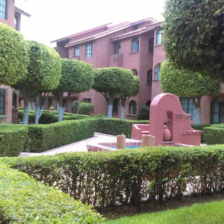 Jardín del condominio